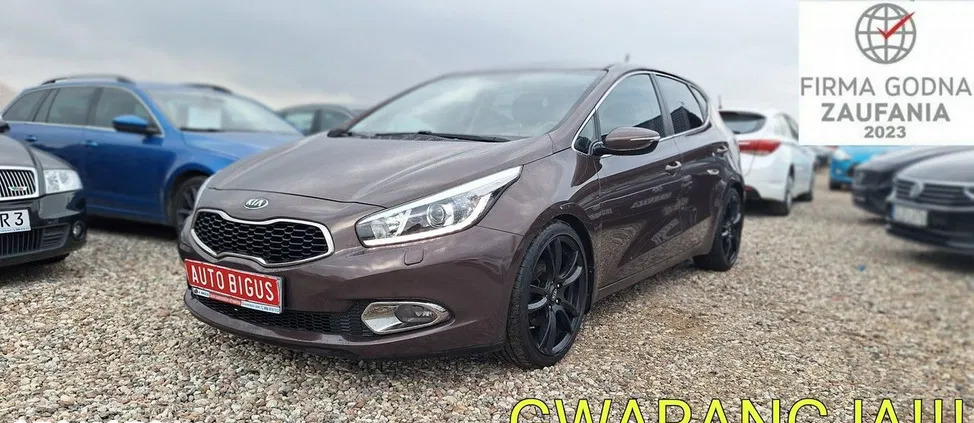 kia lubelskie Kia Ceed cena 36900 przebieg: 213000, rok produkcji 2012 z Bielsko-Biała